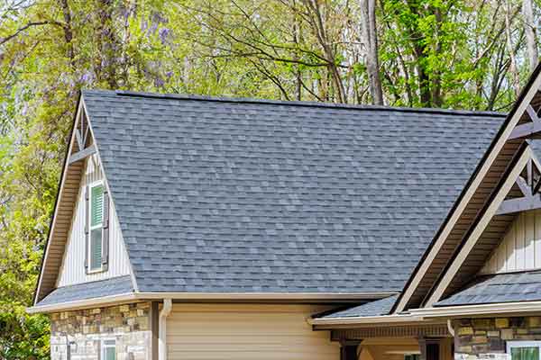 Residential Roofing Repair Services